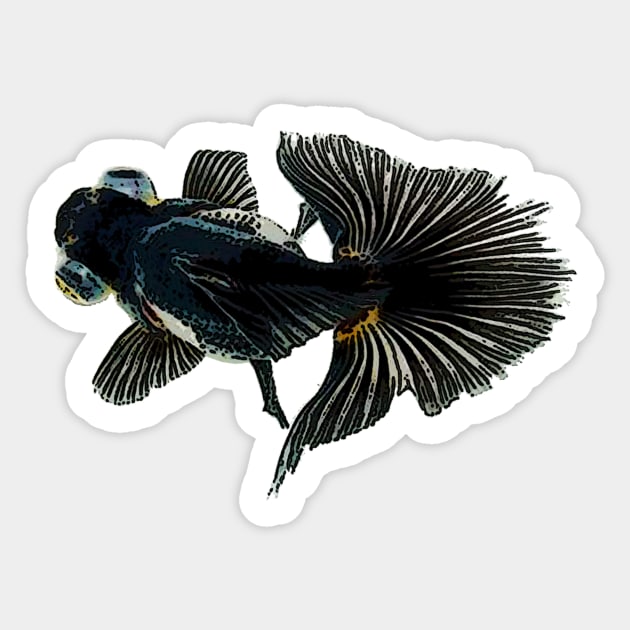 bug-eyed goldfish Sticker by denniswilliamgaylor